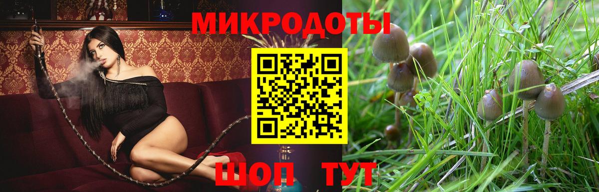 Псилоцибиновые грибы ЛСД  Вход с VPN  Каменск-Шахтинский 